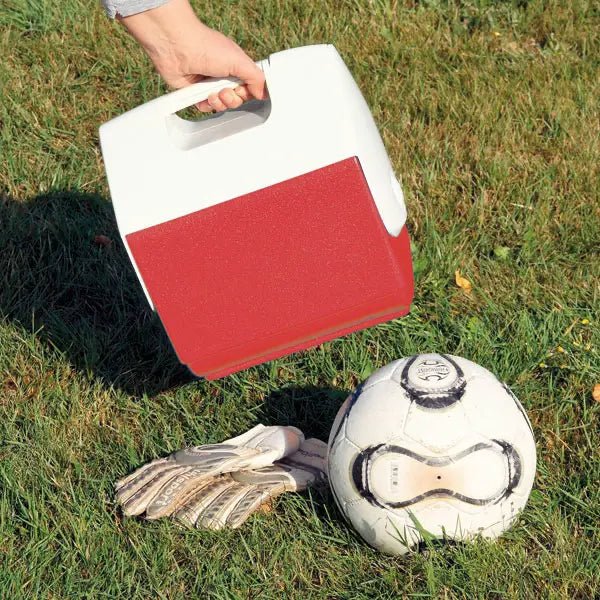 Cool Box, leer - Servoprax